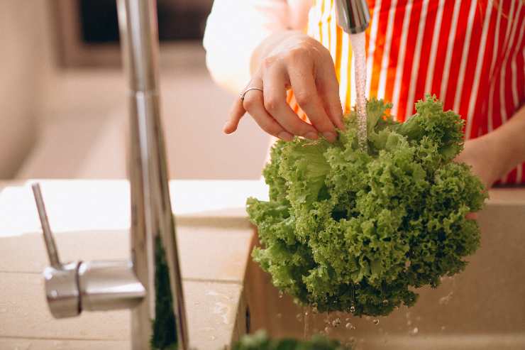 insalata in busta marche che si salvano